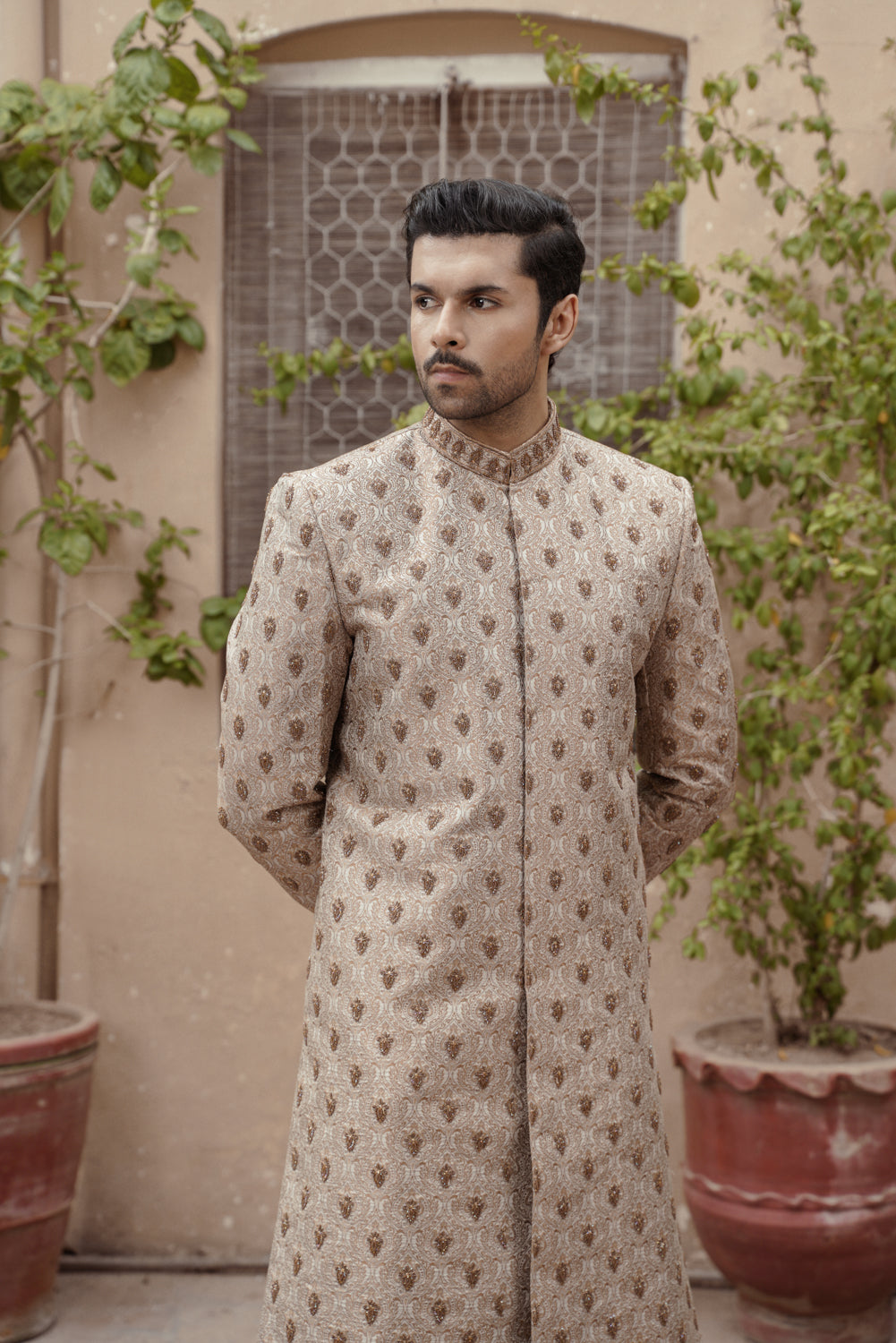 Beige Gold Sherwani