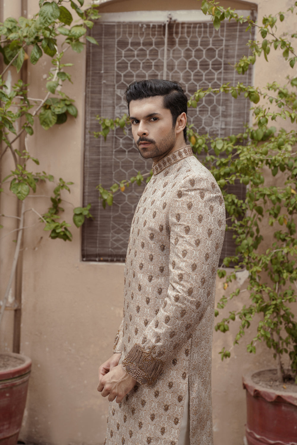 Beige Gold Sherwani