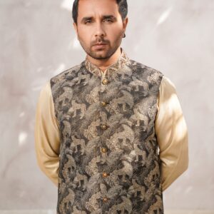 Embellished ban pictorial waistcoat